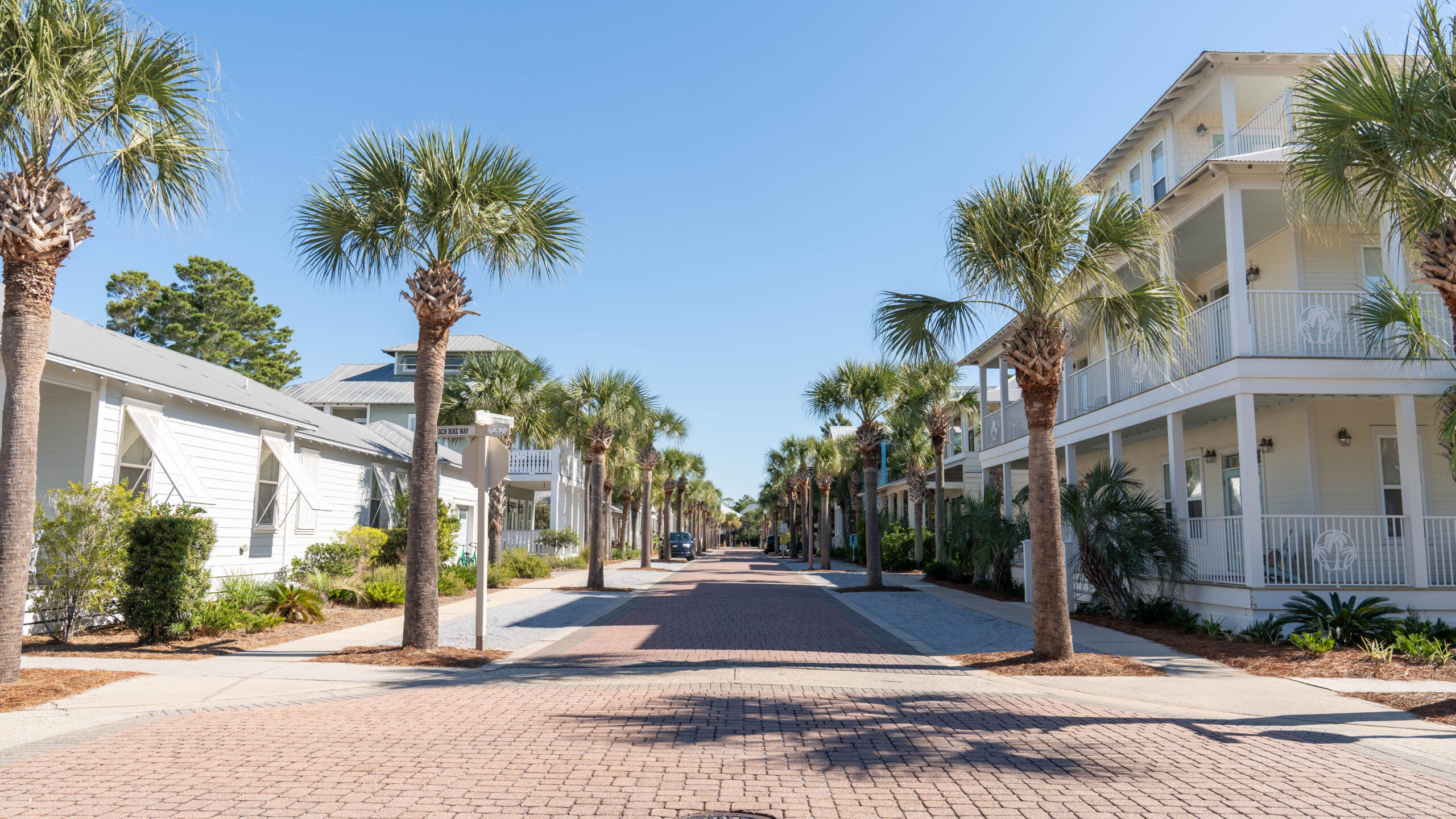 Peaceful Coastal HOA Neighborhood Street with Palms