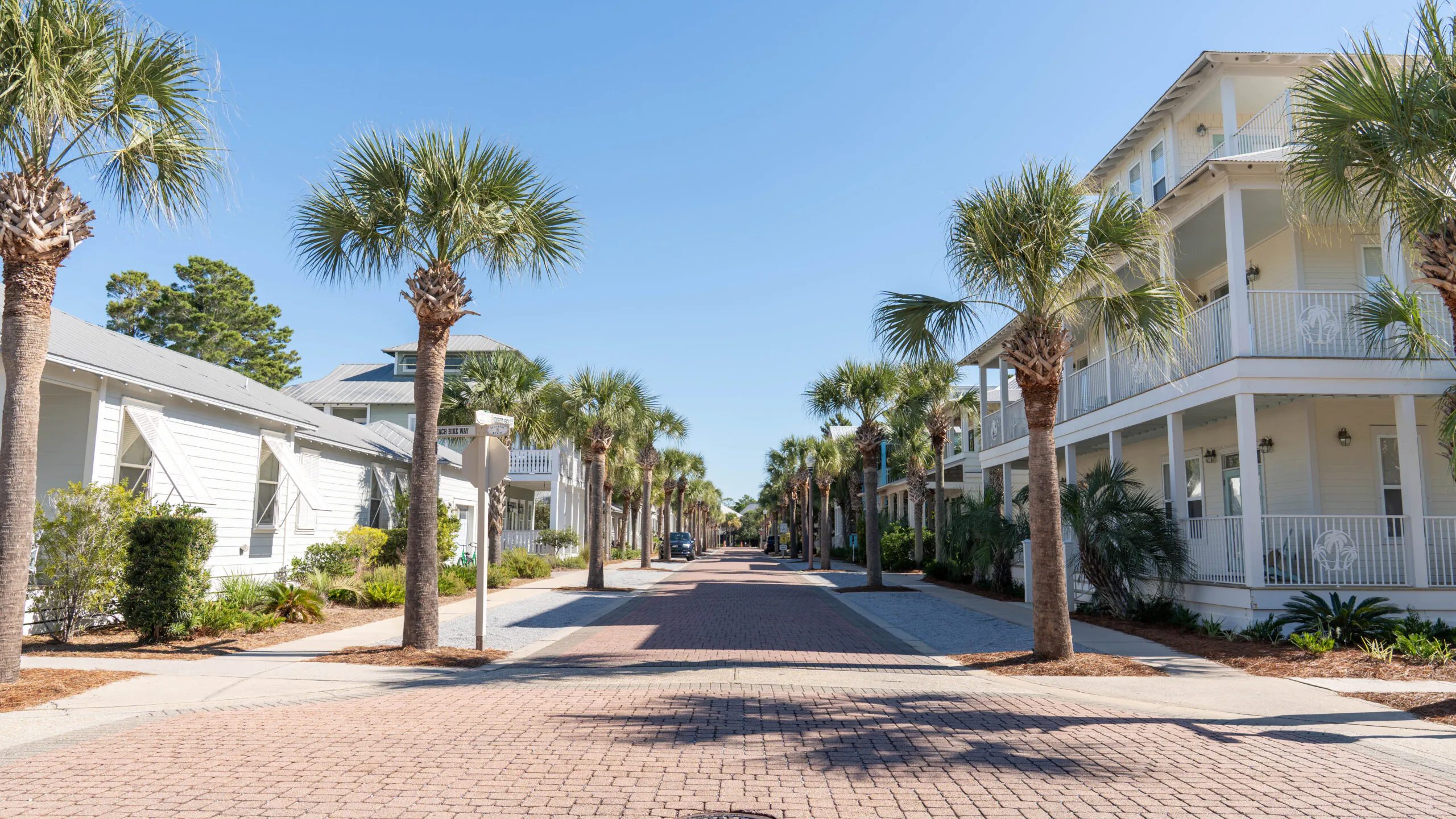 Peaceful Coastal HOA Neighborhood Street with Palms